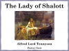 The Lady of Shalott - Free Resource Teaching Resources (slide 1/14)